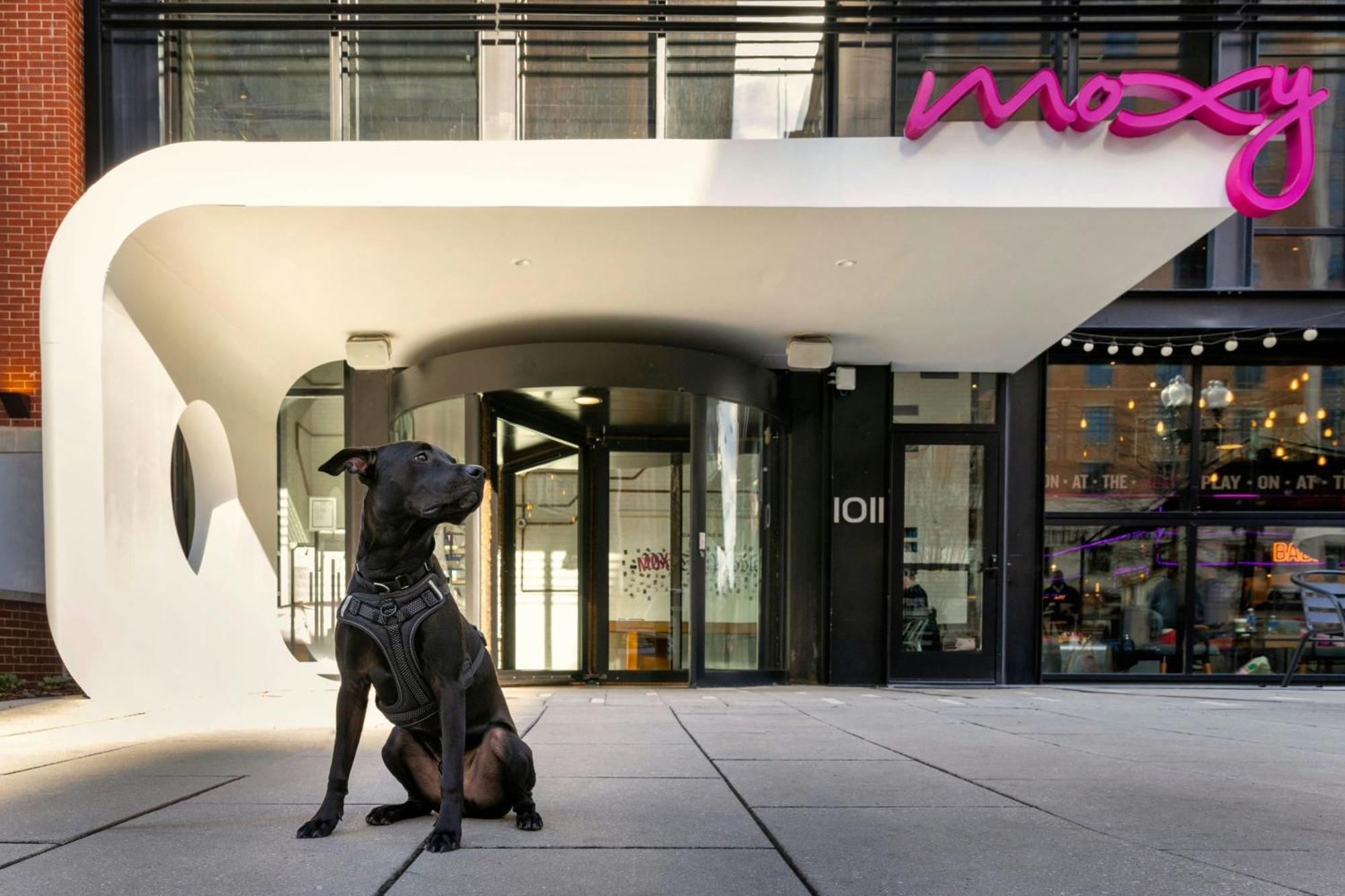 Moxy Washington, Dc Downtown Hotel Exterior photo
